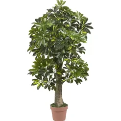 Trees & Topiaries>Kirklands Home Schefflera Tree in Terra Cotta Planter, 4 ft.