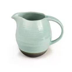 Kirklands Home Seafoam and Onyx Serving Pitcher Outlet