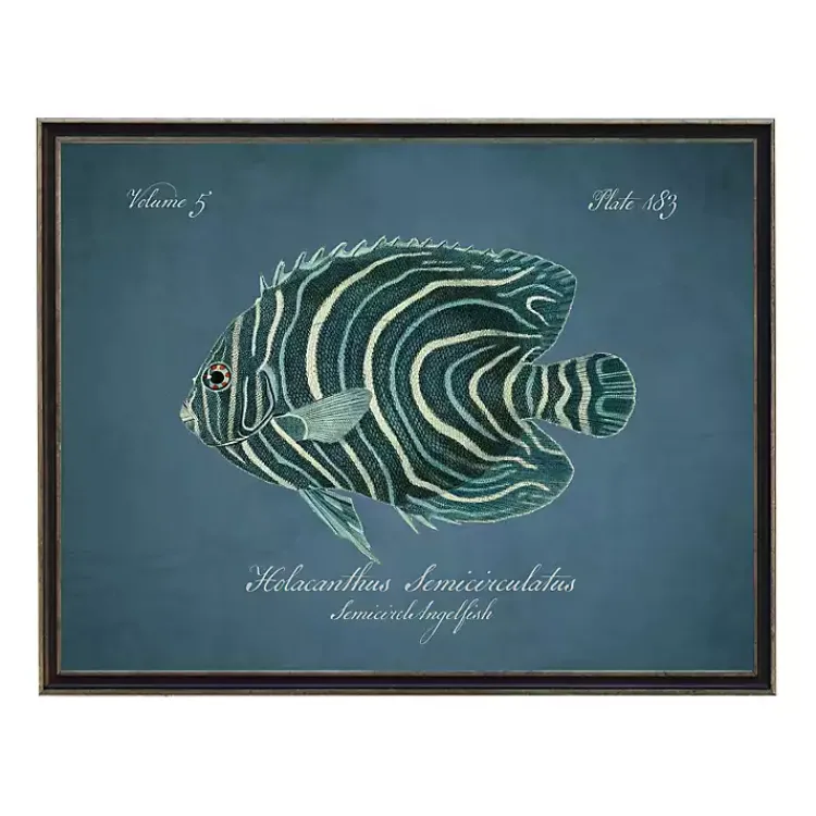 Kirklands Home Semicircle Angelfish Framed Wall Art Blue Hot