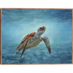 Kirklands Home Serene Sea Turtle Framed Canvas Art Print Sale