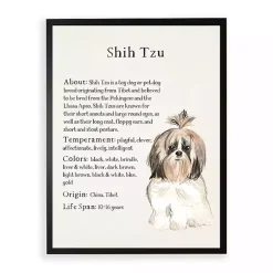 Kirklands Home Shih Tzu Facts Framed Wall Plaque White Online
