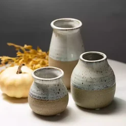 Vases><noscript><img width=