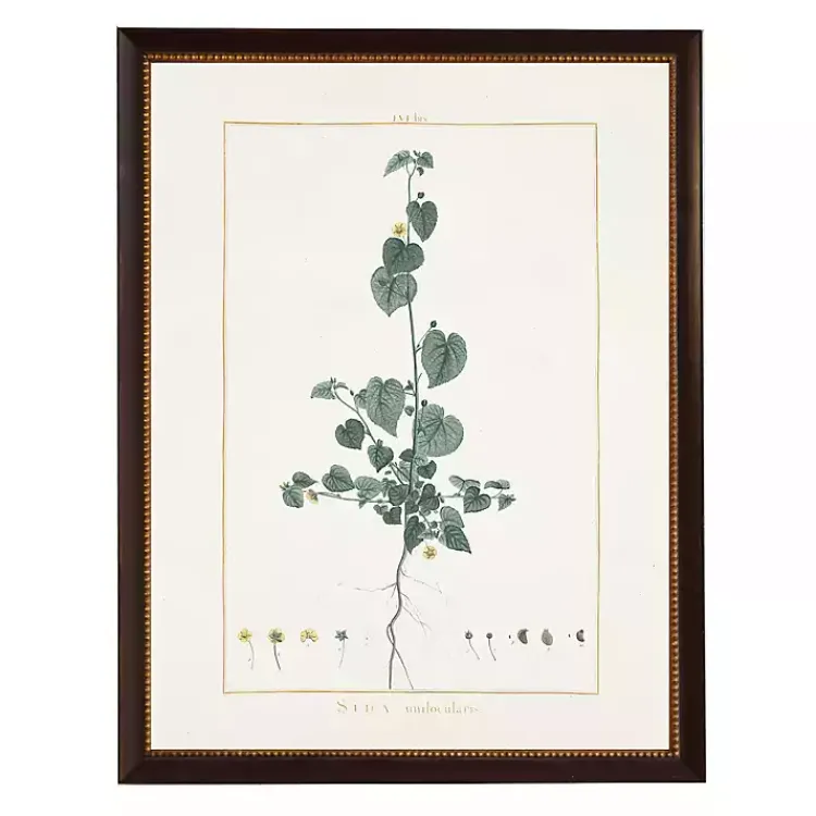 Kirklands Home Sida Greenery Black Beaded Framed Art Print Outlet