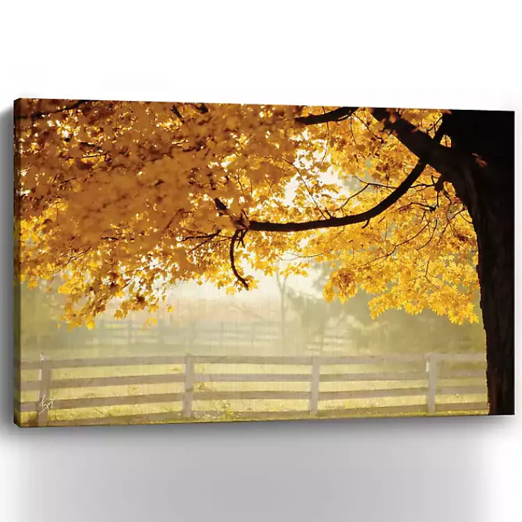 Kirklands Home Silence is Golden Canvas Art Print, 48x32 in. Sale