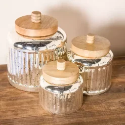 Decorative Bowls & Jars>Kirklands Home Silver Glass Jars with Wooden Lids, Set of 3