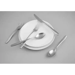 Kirklands Home Satin Metal Classic 20-pc. Flatware Set Silver Online
