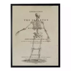 Halloween>Kirklands Home Skeleton Back Framed Halloween Wall Art