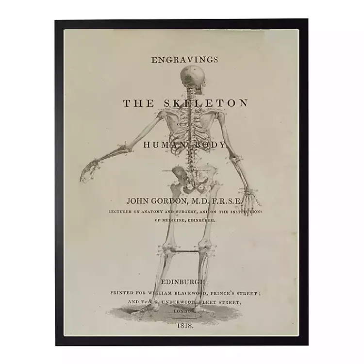 Halloween>Kirklands Home Skeleton Back Framed Halloween Wall Art