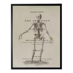 Halloween>Kirklands Home Skeleton Framed Halloween Wall Art