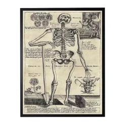 Halloween>Kirklands Home Skeleton Poster Framed Halloween Wall Plaque
