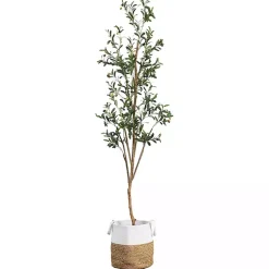 Trees & Topiaries>Kirklands Home Slim Olive Tree in Woven Planter, 7 ft.
