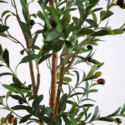 Trees & Topiaries><noscript><img width=