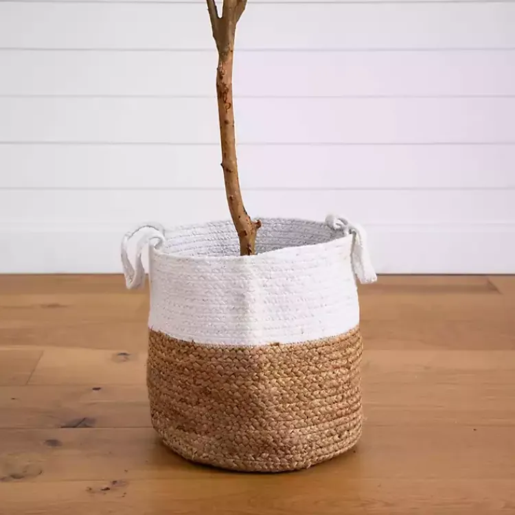 Trees & Topiaries>Kirklands Home Slim Olive Tree in Woven Planter, 7 ft.