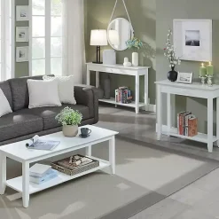 Kirklands Home Slim Single Drawer Console Table White New
