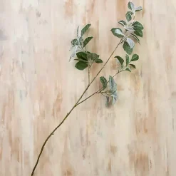 Christmas Arrangements & Garland>Kirklands Home Snowy Eucalyptus Stems, Set of 3 Green