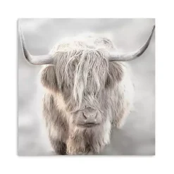 Kirklands Home Solo Highland Cow Canvas Art Print, 40x40 Gray Outlet