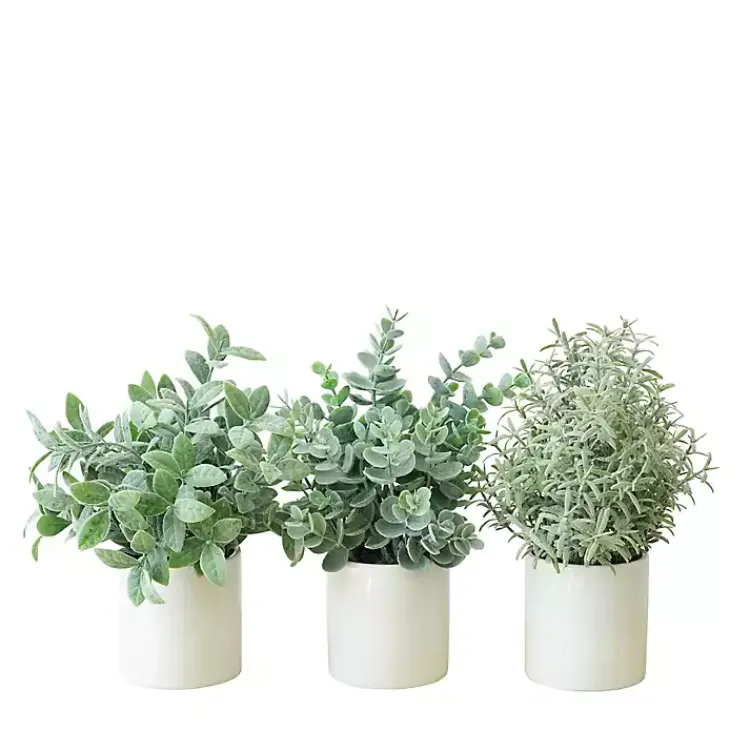 Arrangements & Greenery>Kirklands Home Succulent Arrangements in Ceramic Pots, Set of 3