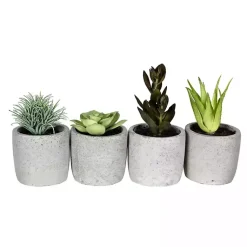 Arrangements & Greenery>Kirklands Home Succulents in Ceramic Pots, Set of 4 Green
