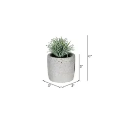 Arrangements & Greenery>Kirklands Home Succulents in Ceramic Pots, Set of 4 Green