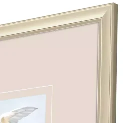 Kirklands Home Swift Birds Framed Art Prints, Set of 4 Sale