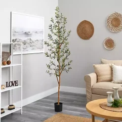 Trees & Topiaries><noscript><img width=
