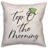 St Patricks Day Decorations>Kirklands Home Top O' the Morning Pillow