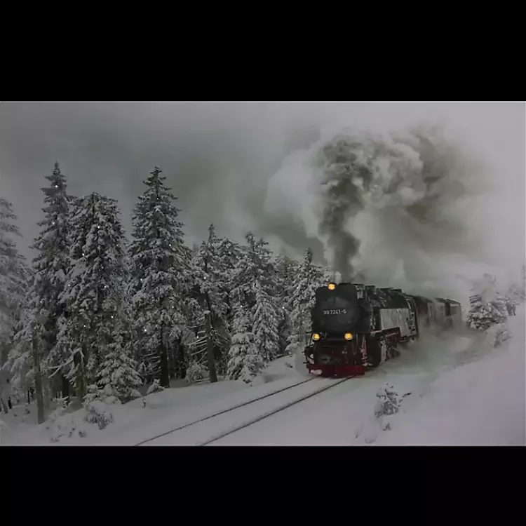 Christmas Art & Wall Decor>Kirklands Home Train in Winter Woods LED Canvas Art Print