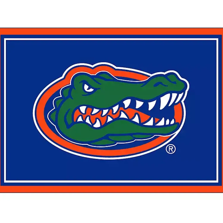 Kirklands Home University of Florida Area Rug, 3x4 Clearance
