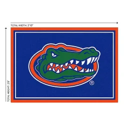 Kirklands Home University of Florida Area Rug, 3x4 Clearance