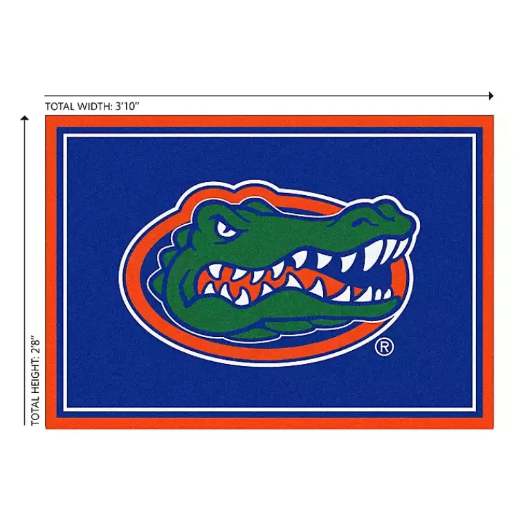 Kirklands Home University of Florida Area Rug, 3x4 Clearance