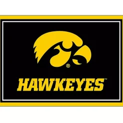 Kirklands Home University of Iowa Area Rug, 3x4 Hot
