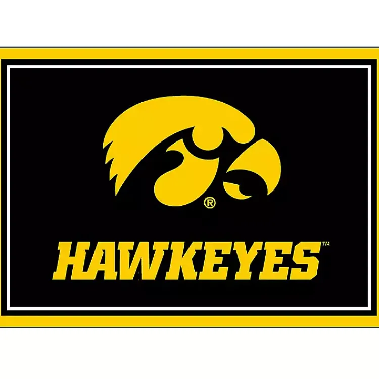 Kirklands Home University of Iowa Area Rug, 3x4 Hot