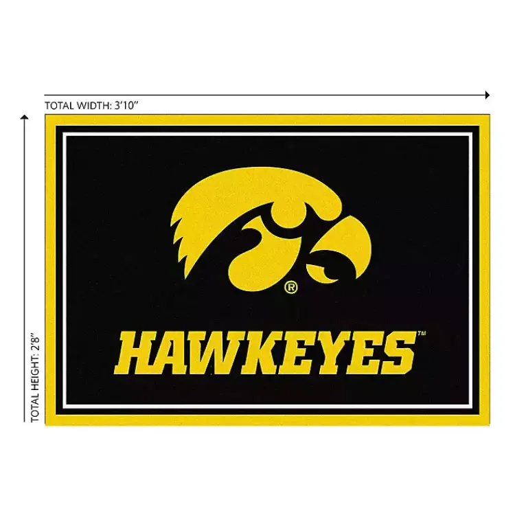 Kirklands Home University of Iowa Area Rug, 3x4 Hot