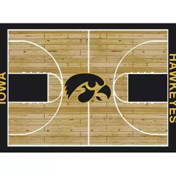 Kirklands Home University of Iowa Courtside Area Rug, 4x6 New