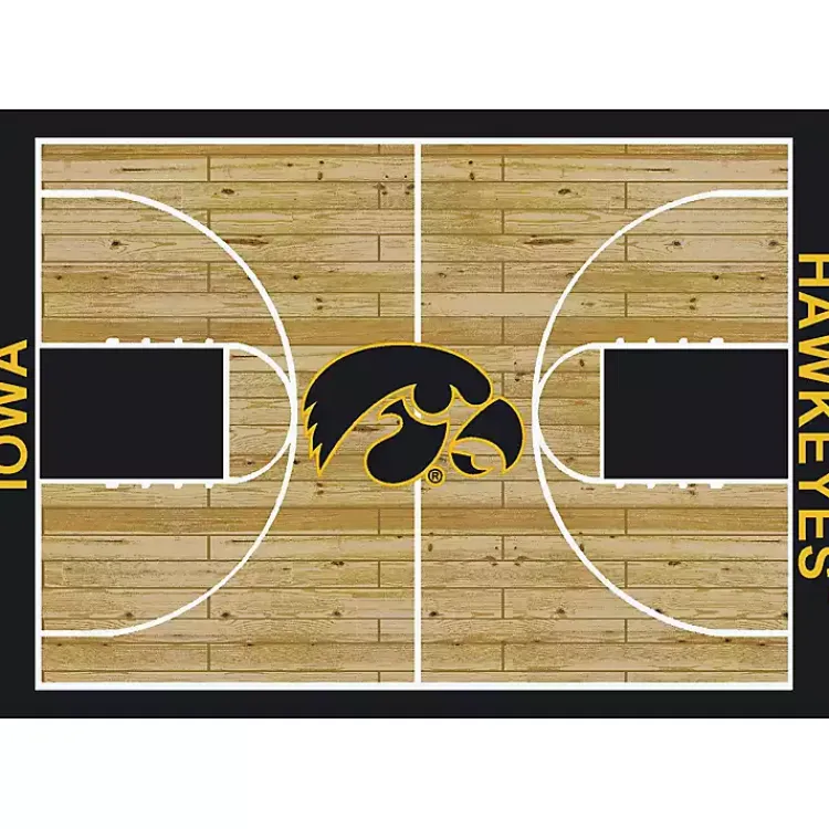 Kirklands Home University of Iowa Courtside Area Rug, 4x6 New