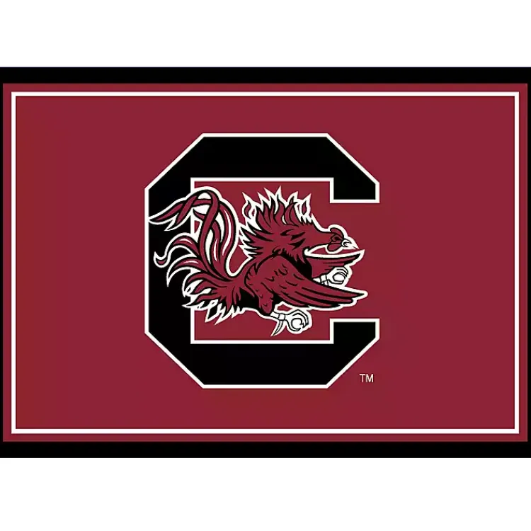 Kirklands Home University of South Carolina Area Rug, 3x4 Hot