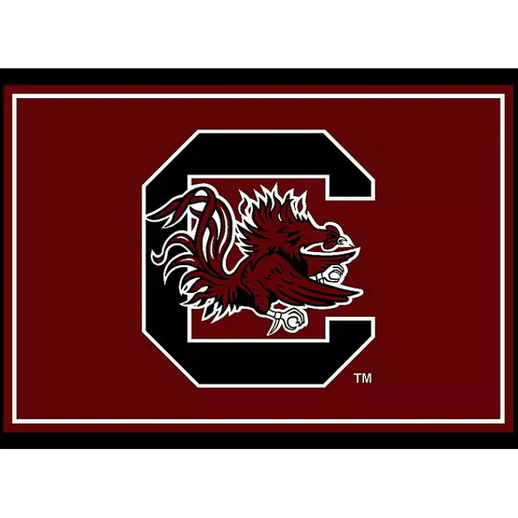 Kirklands Home University of South Carolina Area Rug, 4x6 Red New