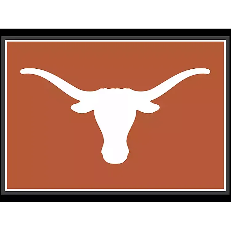 Kirklands Home University of Texas Area Rug, 4x6 Clearance