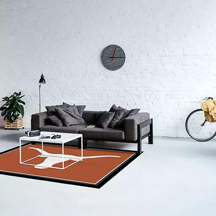 Kirklands Home University of Texas Area Rug, 4x6 Clearance
