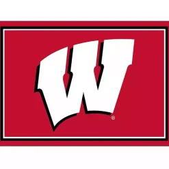 Kirklands Home University of Wisconsin Area Rug, 3x4