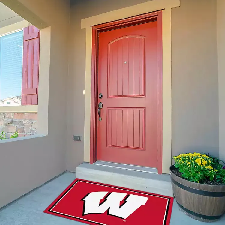 Kirklands Home University of Wisconsin Area Rug, 3x4