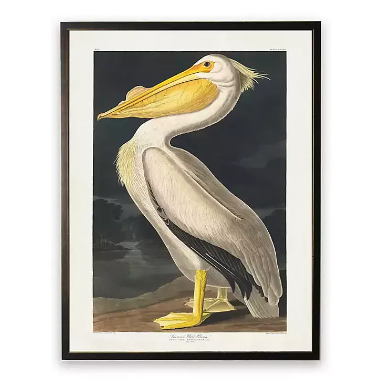 Kirklands Home Vintage American White Pelican Framed Art Print New
