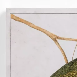 Kirklands Home Vintage Birds Canvas Art Prints, Set of 2 Online