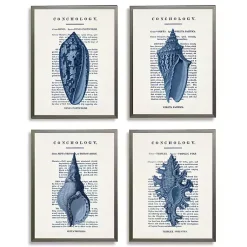 Kirklands Home Vintage Blue Shells Framed Art Prints, Set of 4 Outlet