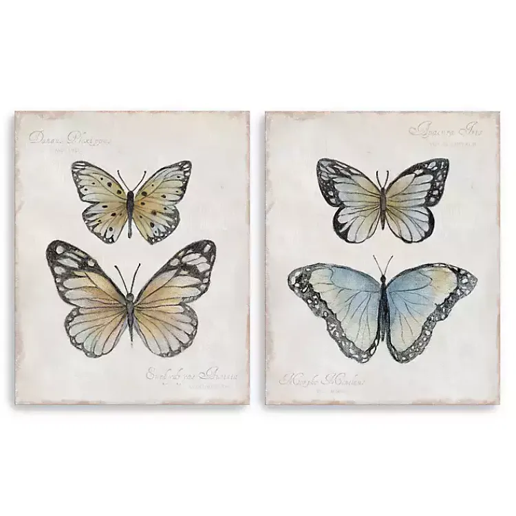 Kirklands Home Vintage Butterflies Canvas Art Prints, Set of 2 Outlet
