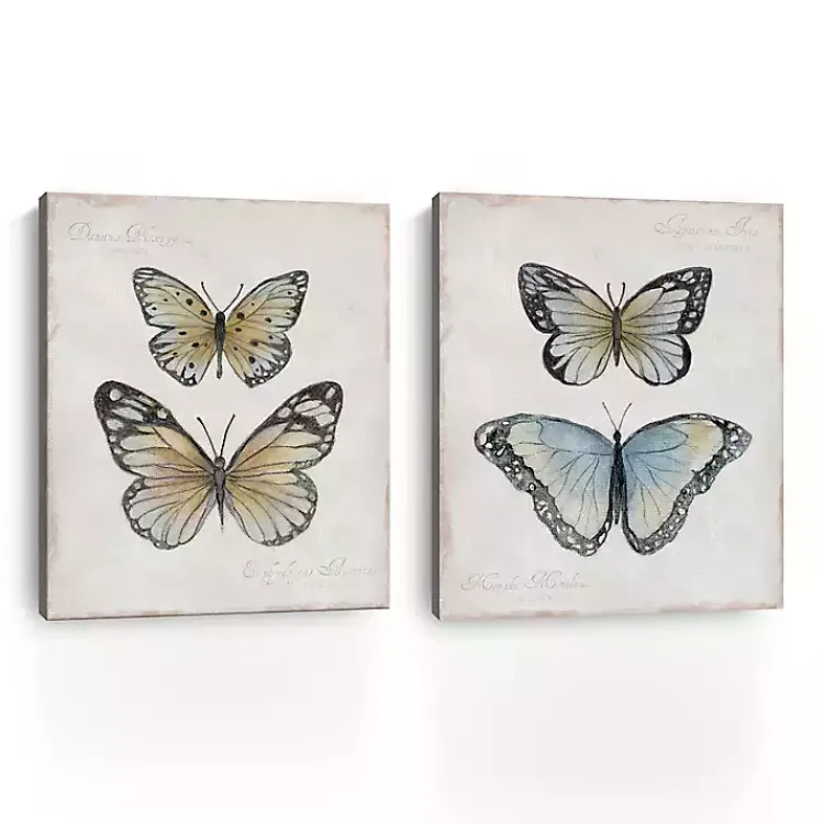 Kirklands Home Vintage Butterflies Canvas Art Prints, Set of 2 Outlet