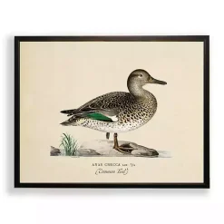 Kirklands Home Vintage Common Teal Duck Framed Art Print Clearance