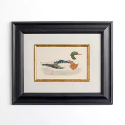 Kirklands Home Vintage Duck Framed Art Print Multi Best