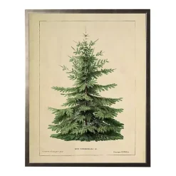 Christmas Art & Wall Decor>Kirklands Home Vintage Fir Tree Framed Art Print