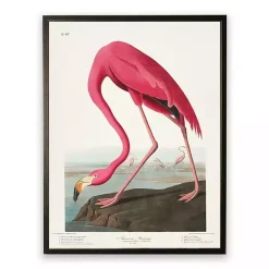 Kirklands Home Vintage Flamingo Bookplate Framed Art Print New
